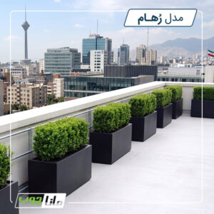 گلدان پشت بام - رهام